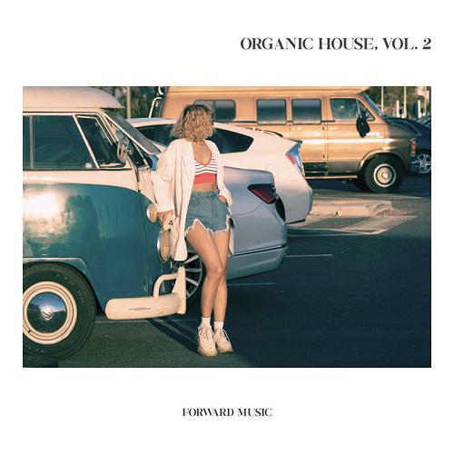 VA - Organic House, Vol.2